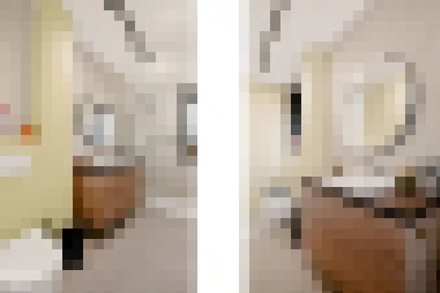 van Breijlstraat 18 Eys thumbnail 10