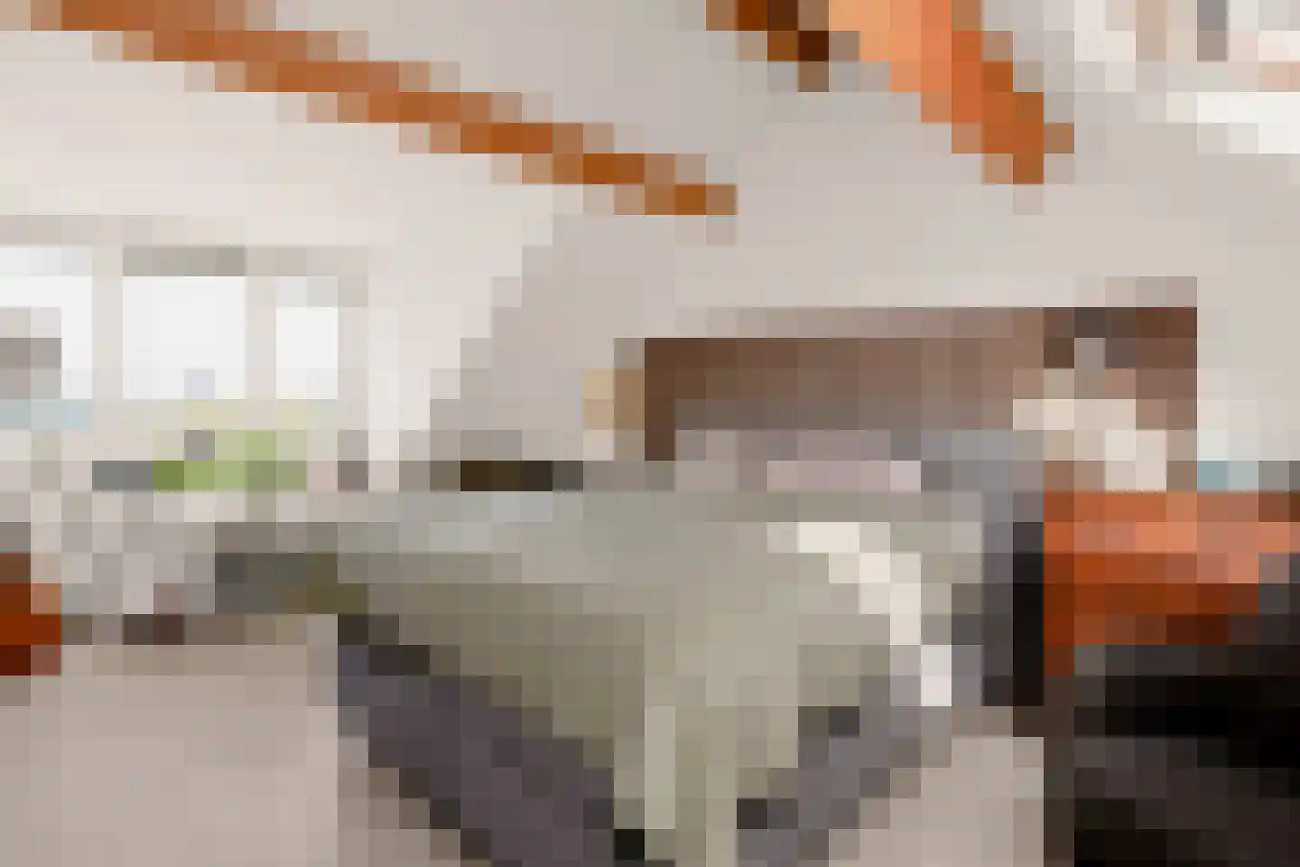 van Breijlstraat 18 Eys thumbnail 15