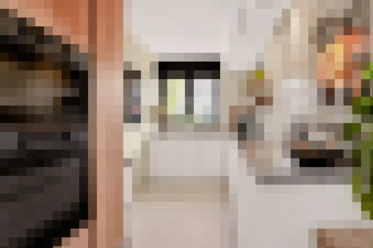 van Breijlstraat 18 Eys thumbnail 6