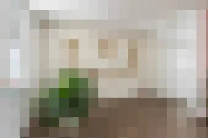 Van Brerostraat 2 Apeldoorn thumbnail 4