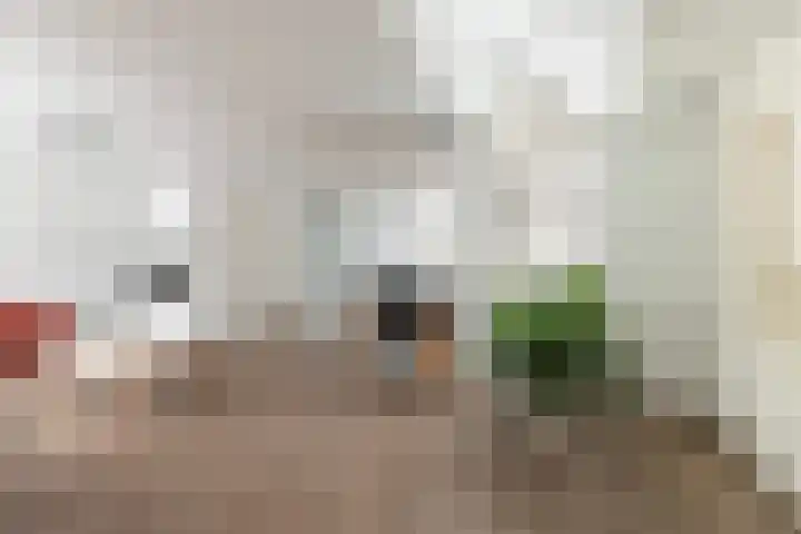 Van Brerostraat 2 Apeldoorn thumbnail 6