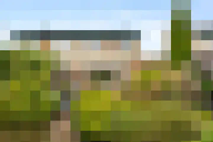 Van Breugelplantsoen 56 Barneveld thumbnail 38