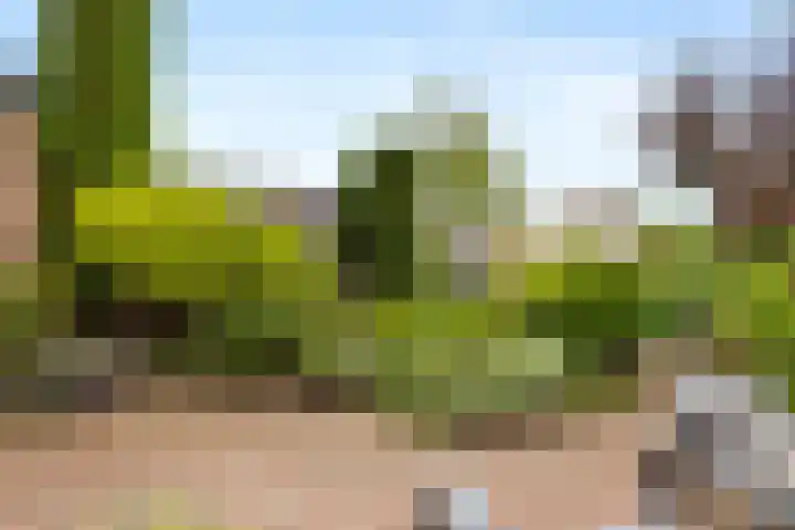 Van Breugelplantsoen 56 Barneveld thumbnail 43