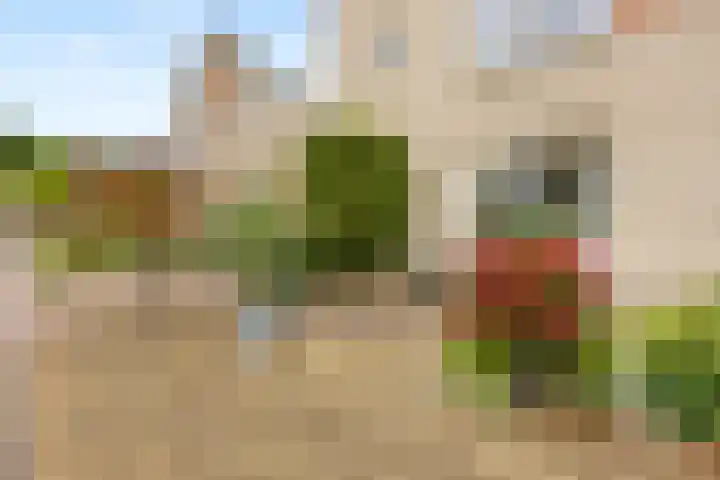 Van Breugelplantsoen 56 Barneveld thumbnail 47