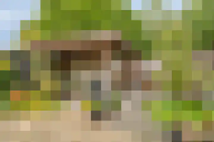 Van Breugelplantsoen 67 Barneveld thumbnail 23