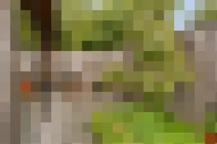 Van Breugelplantsoen 67 Barneveld thumbnail 26