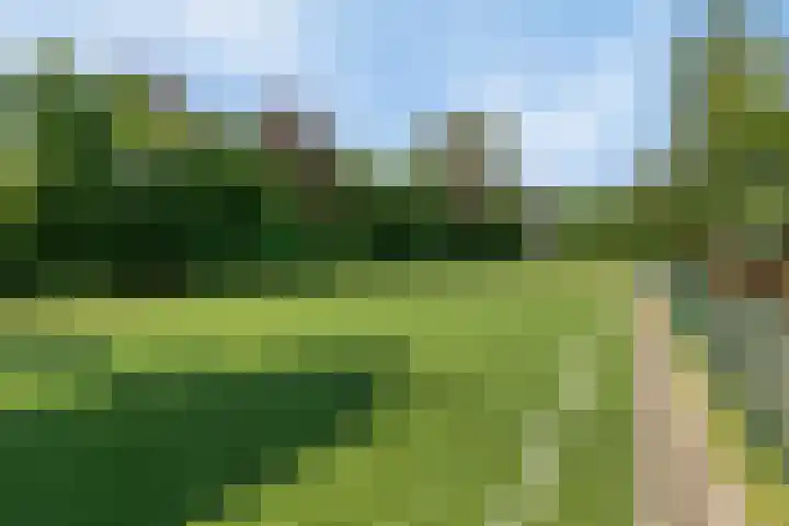 Van Breugelplantsoen 67 Barneveld thumbnail 29