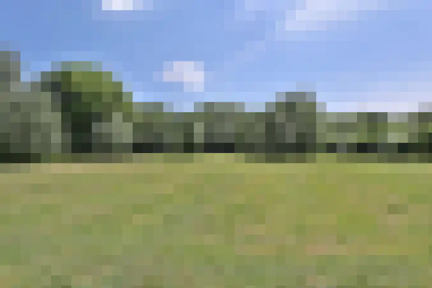 Van Brienenlaan 26 Wassenaar thumbnail 16