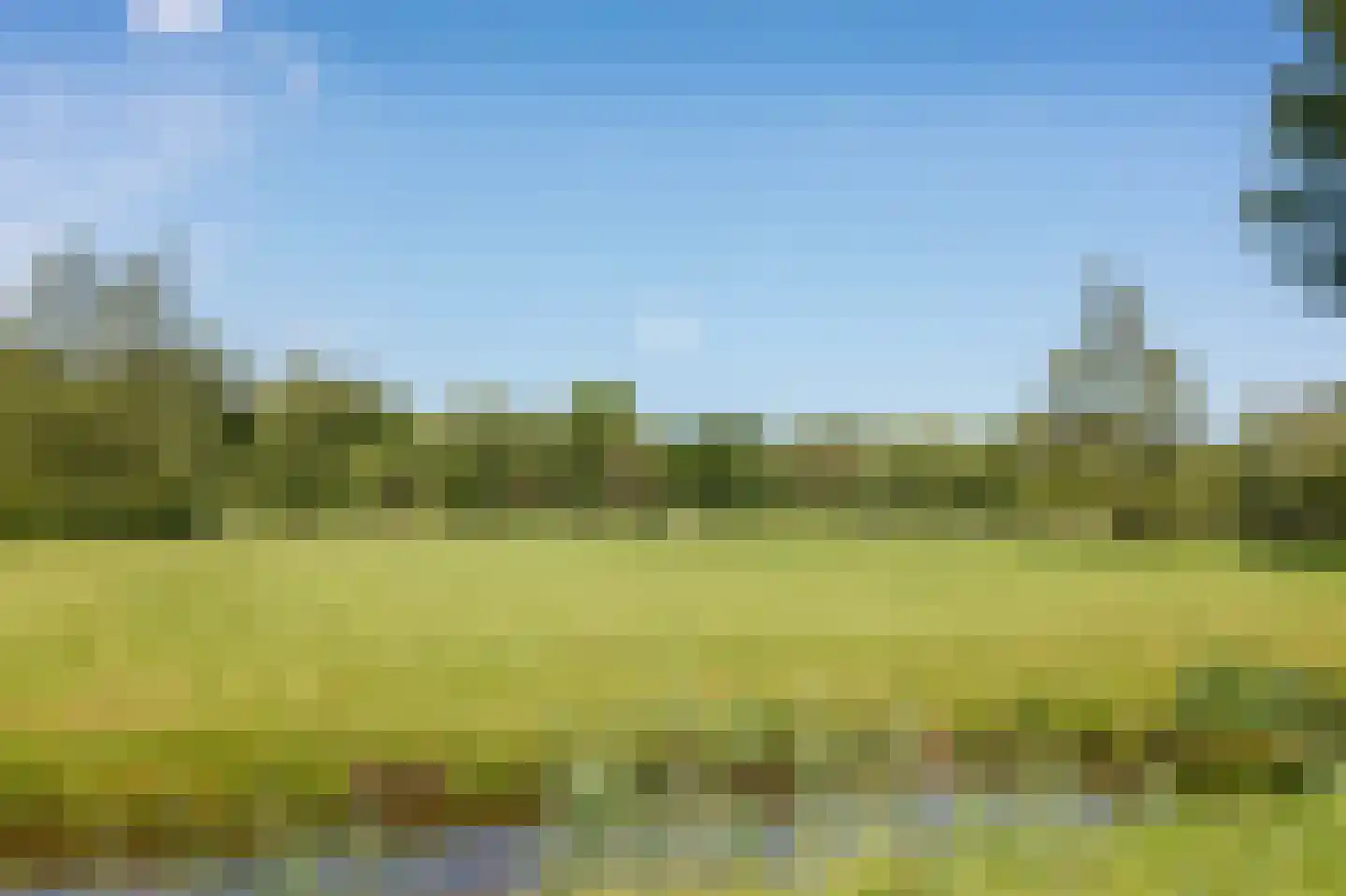 Van Brienenlaan 26 Wassenaar thumbnail 38