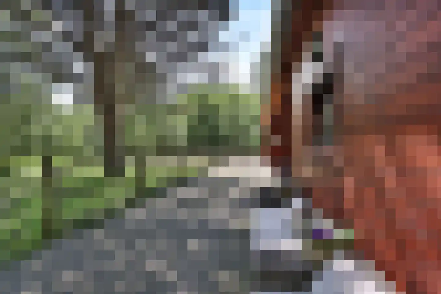 Van Brienenlaan 26 Wassenaar thumbnail 42