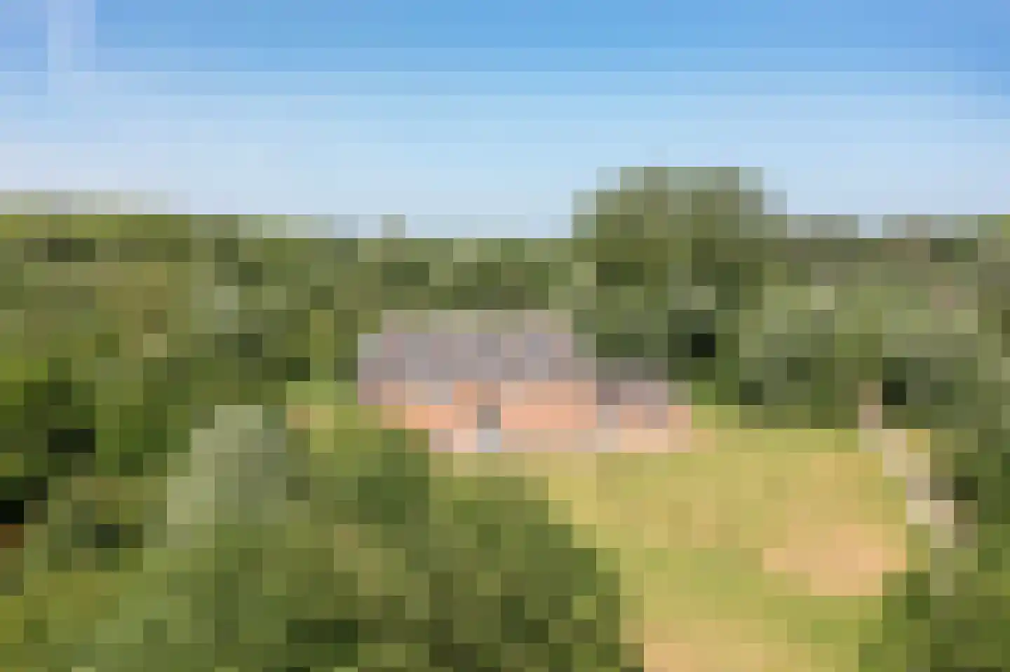 Van Brienenlaan 26 Wassenaar thumbnail 5