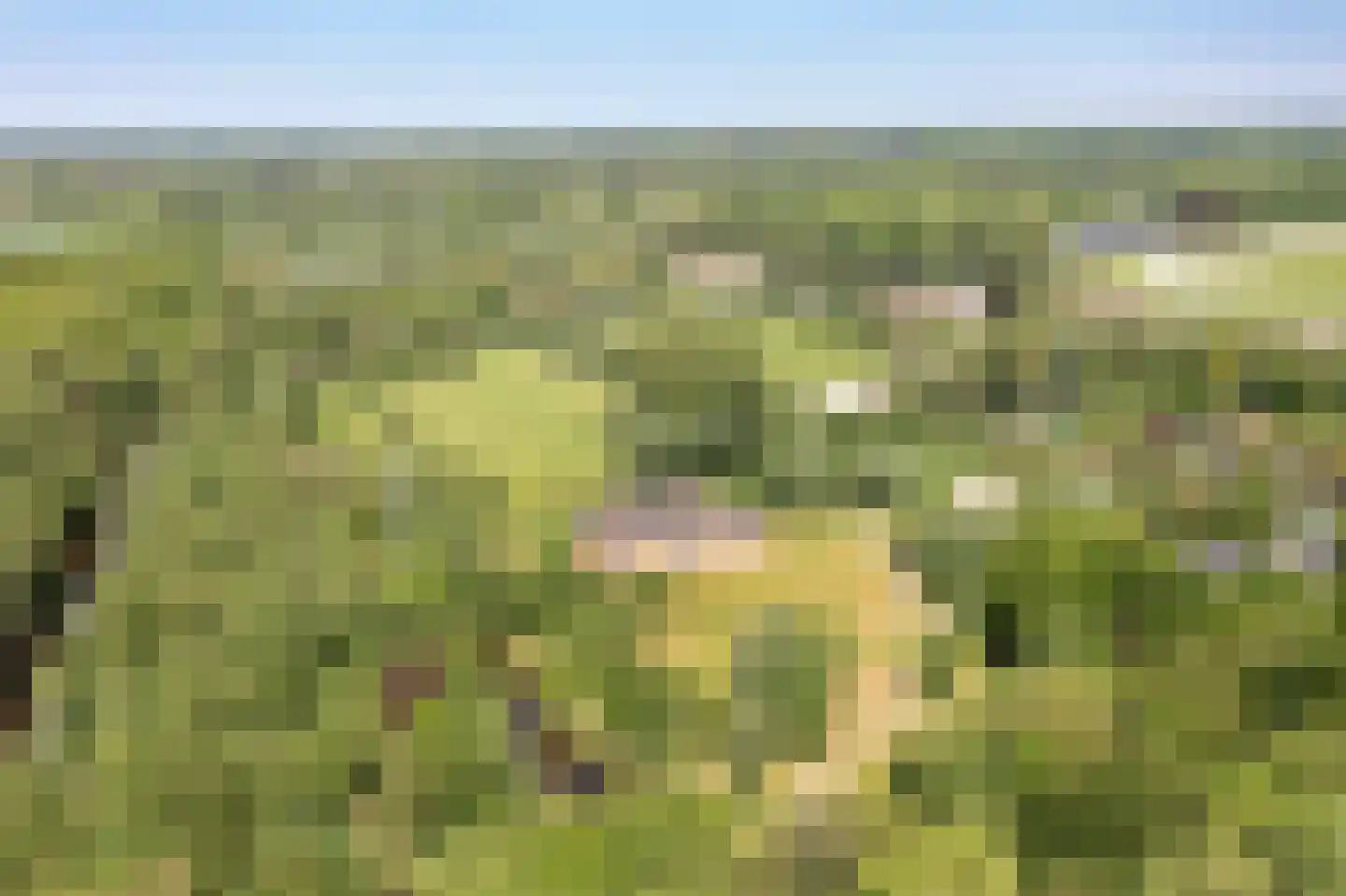Van Brienenlaan 26 Wassenaar thumbnail 6