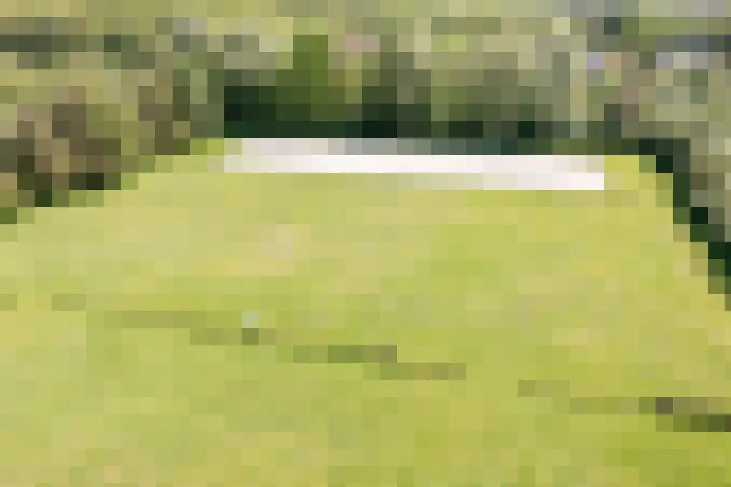 Van Brienenlaan 26 Wassenaar thumbnail 9