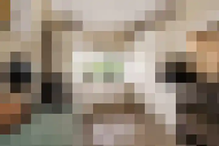 Van Brienenoordstraat 15 Rotterdam thumbnail 16