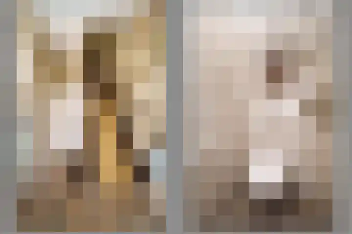 Van Brienenoordstraat 15 Rotterdam thumbnail 17