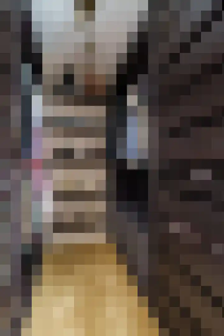 Van Brienenoordstraat 15 Rotterdam thumbnail 19