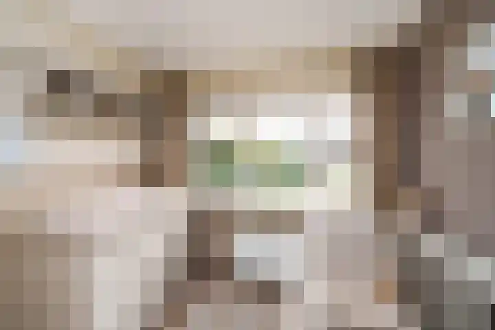 Van Brienenoordstraat 15 Rotterdam thumbnail 20
