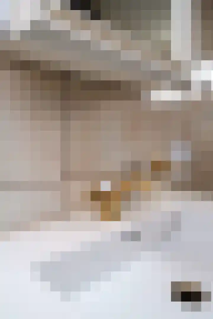 Van Brienenoordstraat 15 Rotterdam thumbnail 23