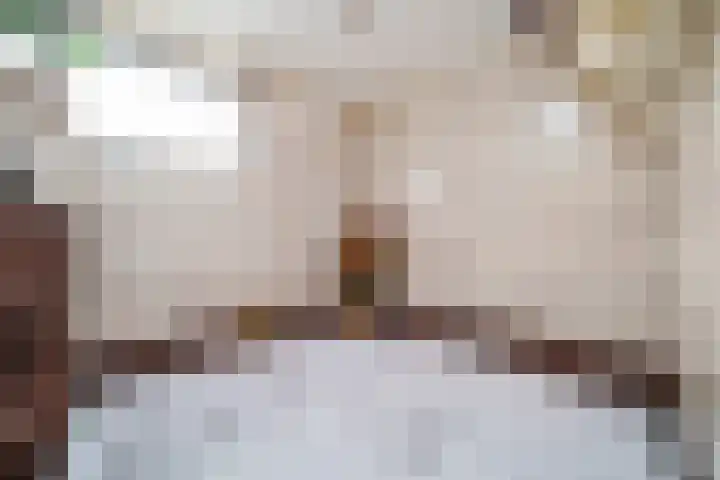 Van Brienenoordstraat 15 Rotterdam thumbnail 25