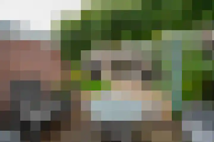 Van Brienenoordstraat 15 Rotterdam thumbnail 32