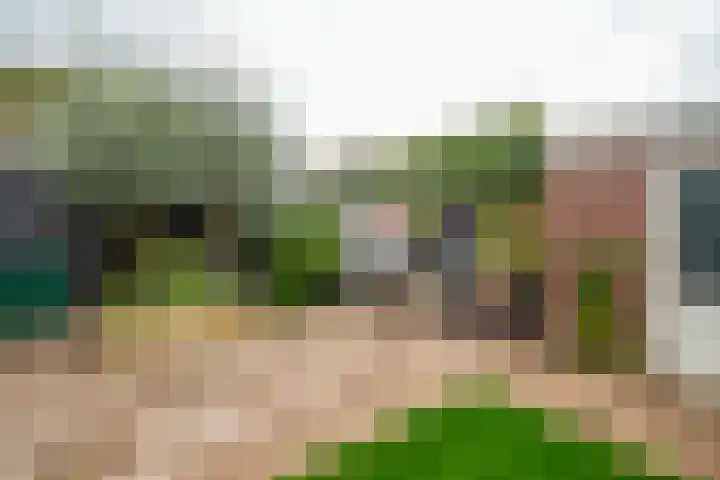 Van Brienenoordstraat 15 Rotterdam thumbnail 33