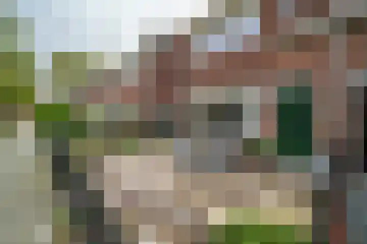 Van Brienenoordstraat 15 Rotterdam thumbnail 35