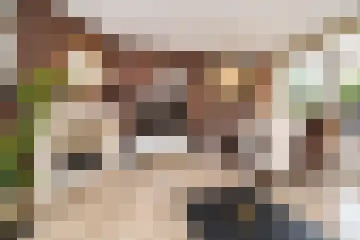 Van Brienenoordstraat 15 Rotterdam thumbnail 6