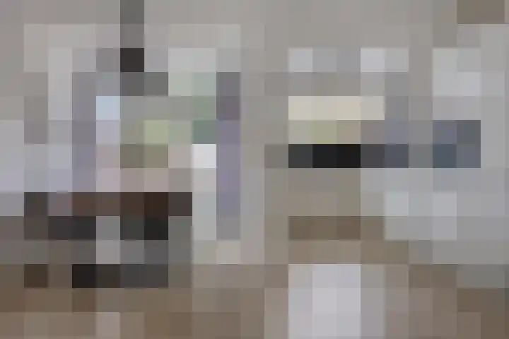 Van Brienenoordstraat 3 Rotterdam thumbnail 12