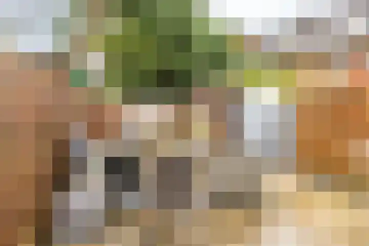 Van Brienenoordstraat 3 Rotterdam thumbnail 14