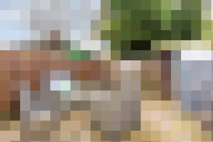 Van Brienenoordstraat 3 Rotterdam thumbnail 15