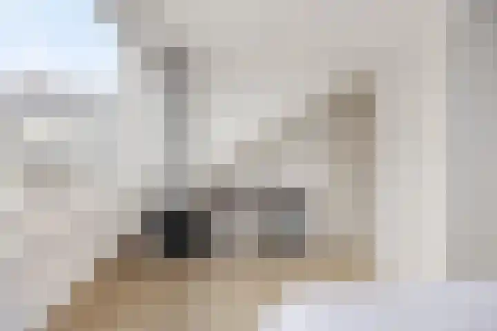 Van Brienenoordstraat 3 Rotterdam thumbnail 29