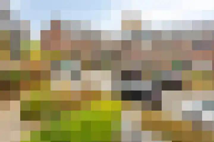 Van Brienenoordstraat 3 Rotterdam thumbnail 30