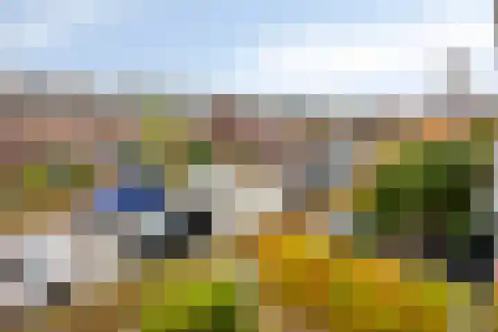 Van Brienenoordstraat 3 Rotterdam thumbnail 31