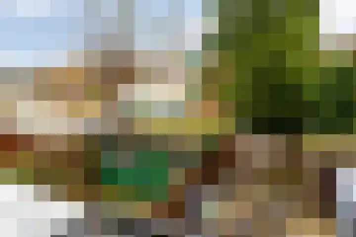 Van Brienenoordstraat 3 Rotterdam thumbnail 32