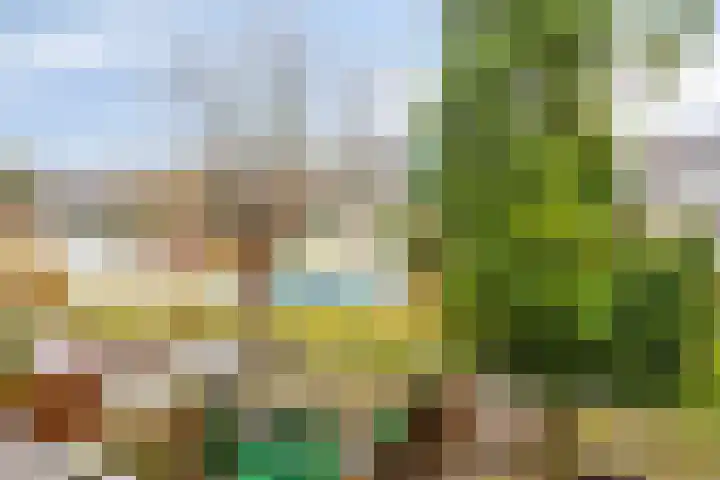 Van Brienenoordstraat 3 Rotterdam thumbnail 34