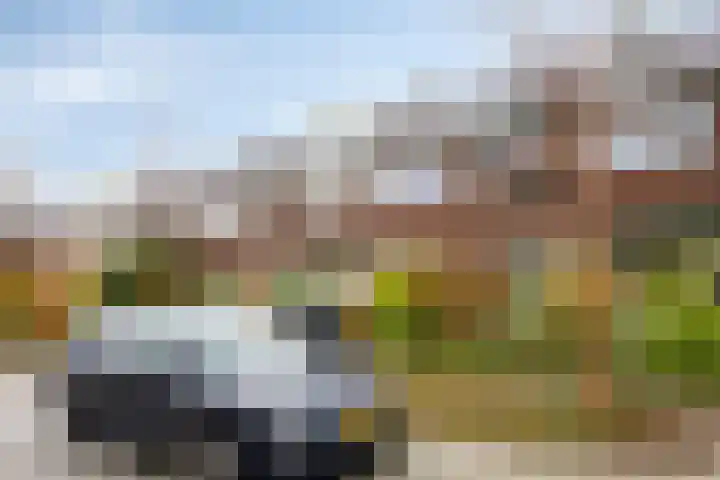 Van Brienenoordstraat 3 Rotterdam thumbnail 35