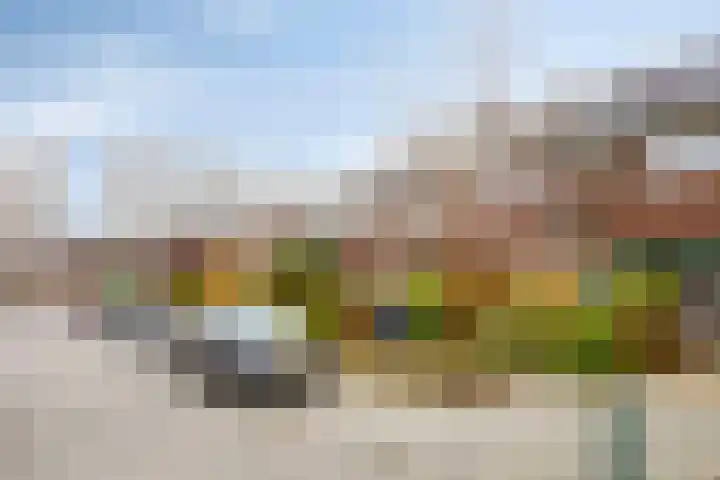 Van Brienenoordstraat 3 Rotterdam thumbnail 36