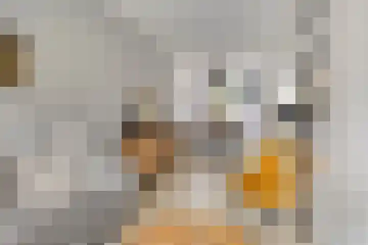 Van Brienenoordstraat 3 Rotterdam thumbnail 7