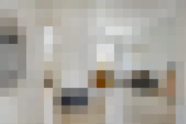Van Brienenoordstraat 3 Rotterdam thumbnail 8