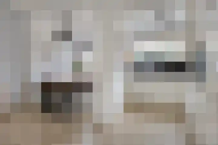 Van Brienenoordstraat 3 Rotterdam thumbnail 9