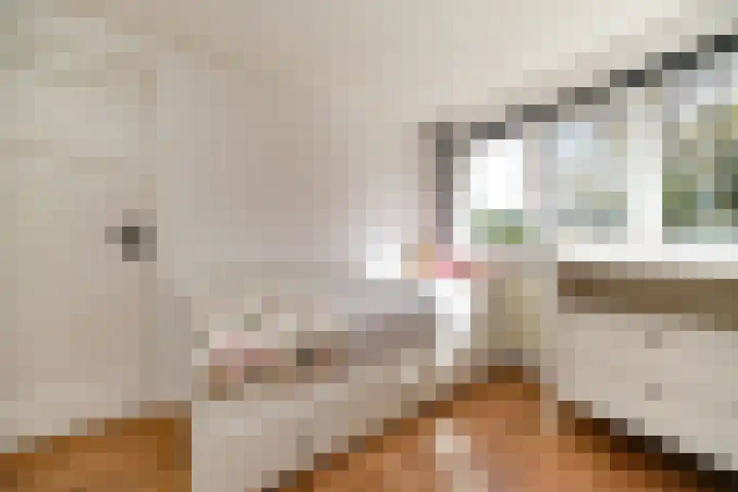 Van Brienenoordstraat 9 Rotterdam thumbnail 19
