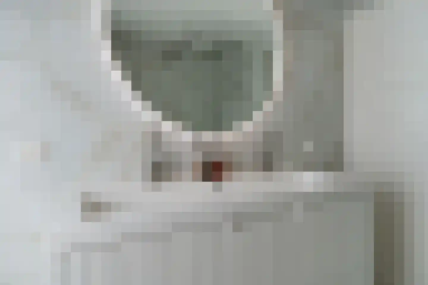 Van Brienenoordstraat 9 Rotterdam thumbnail 22
