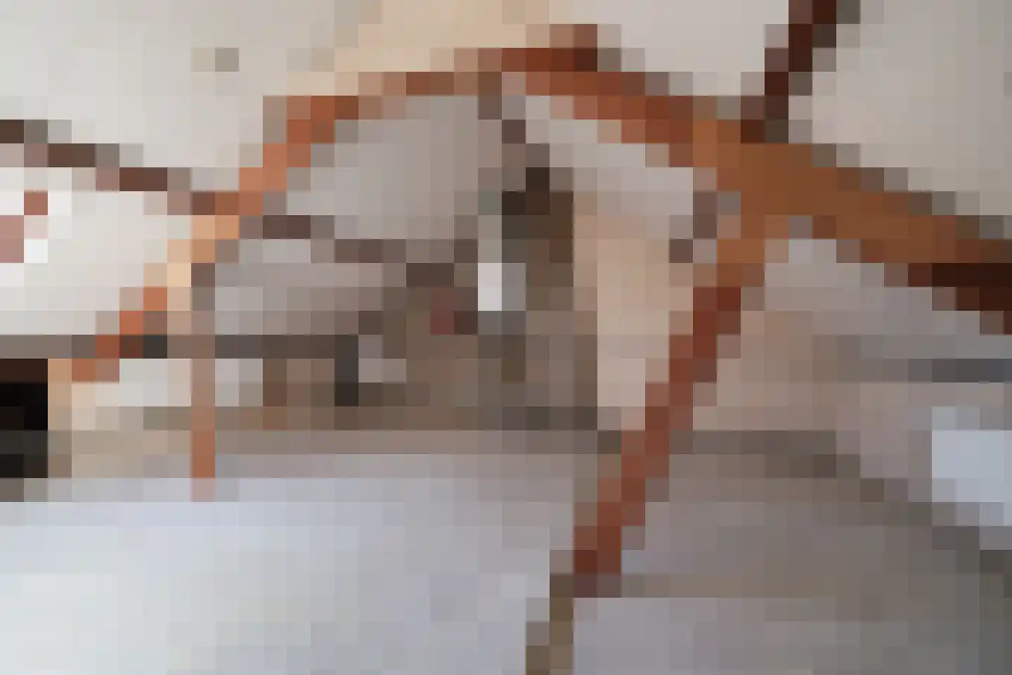 Van Brienenoordstraat 9 Rotterdam thumbnail 23
