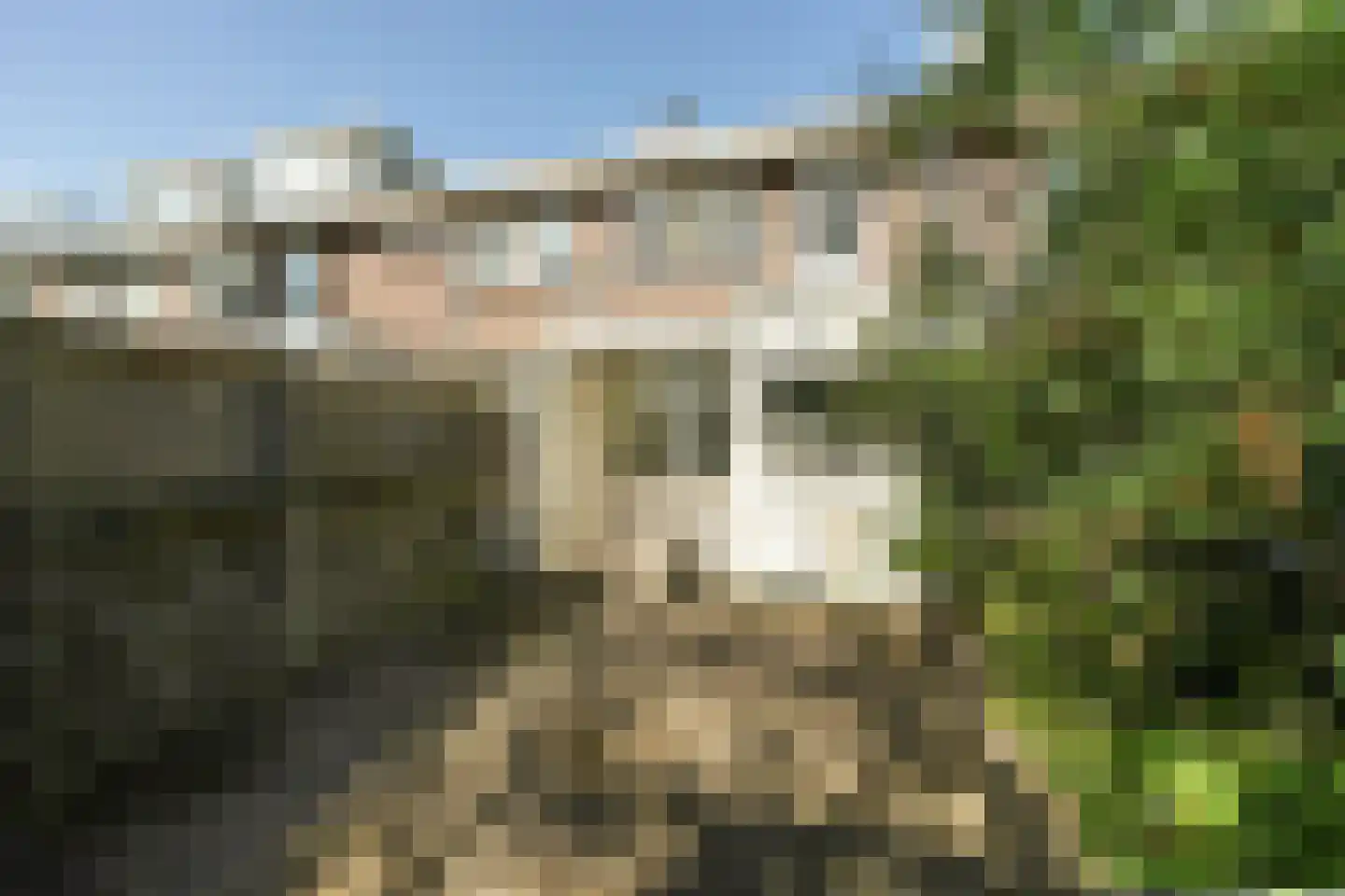 Van Brienenoordstraat 9 Rotterdam thumbnail 29