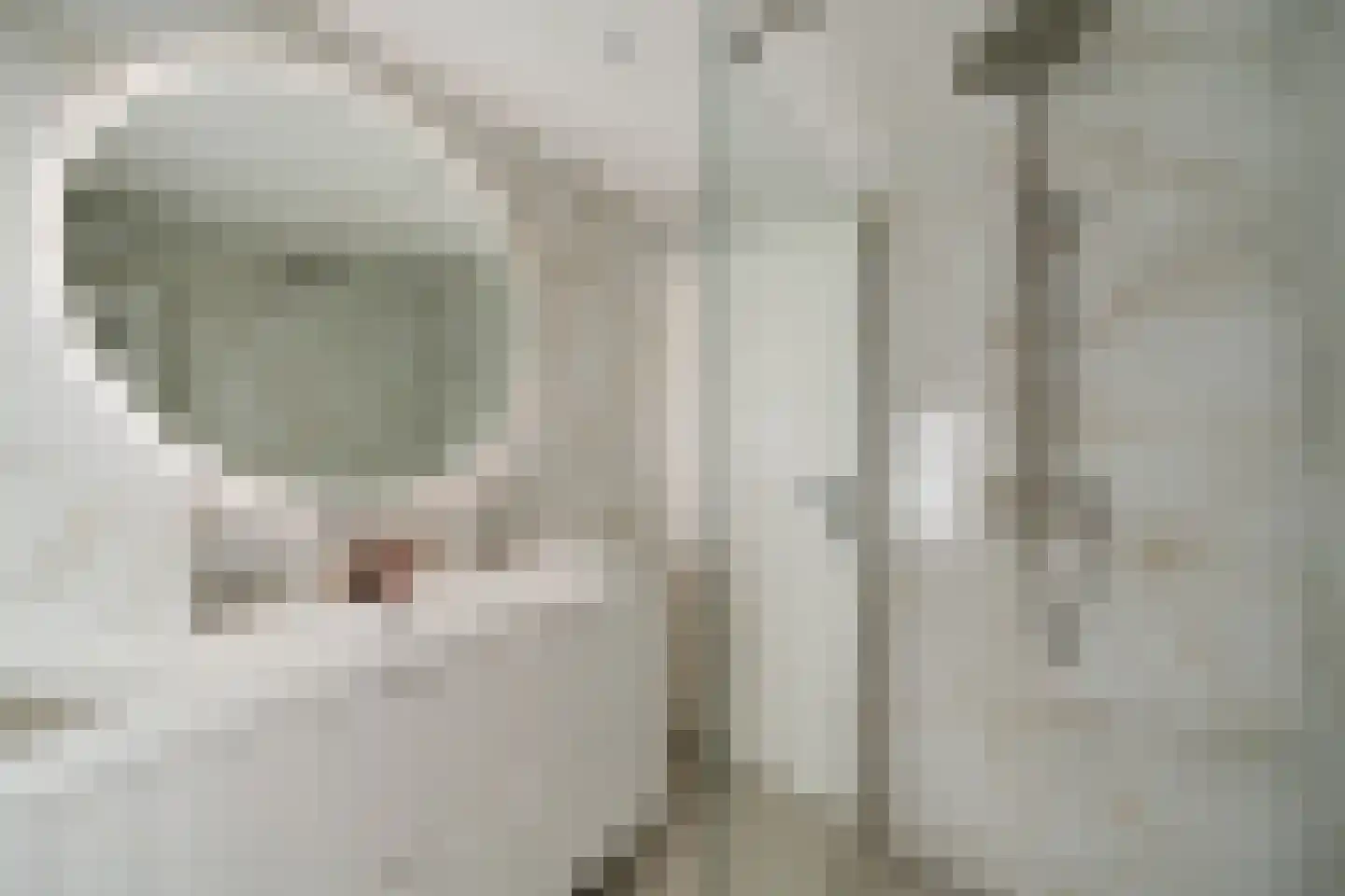 Van Brienenoordstraat 9 Rotterdam thumbnail 5