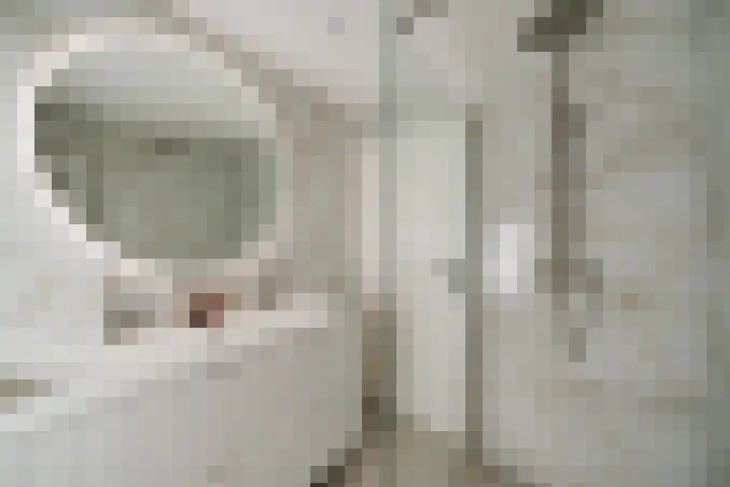 Van Brienenoordstraat 9 Rotterdam thumbnail 5
