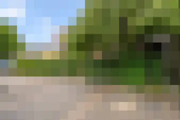 Van Brienenstraat 7 2 Bennekom thumbnail 31