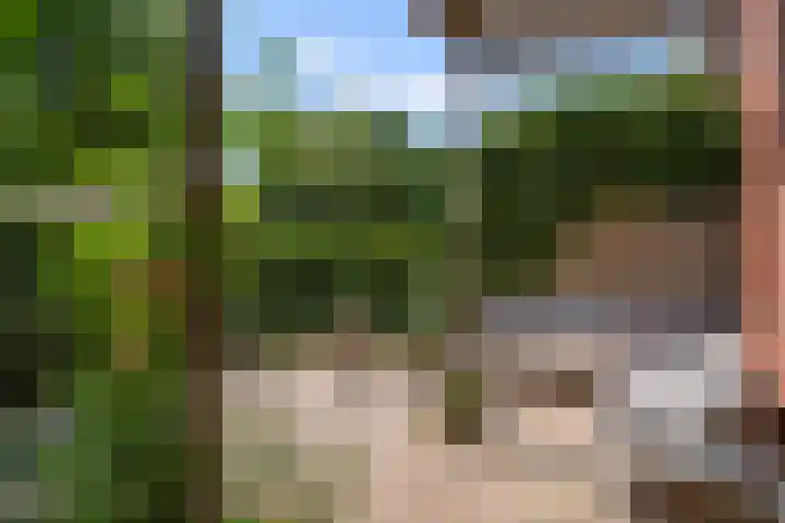 Van Brienenstraat 7 2 Bennekom thumbnail 6