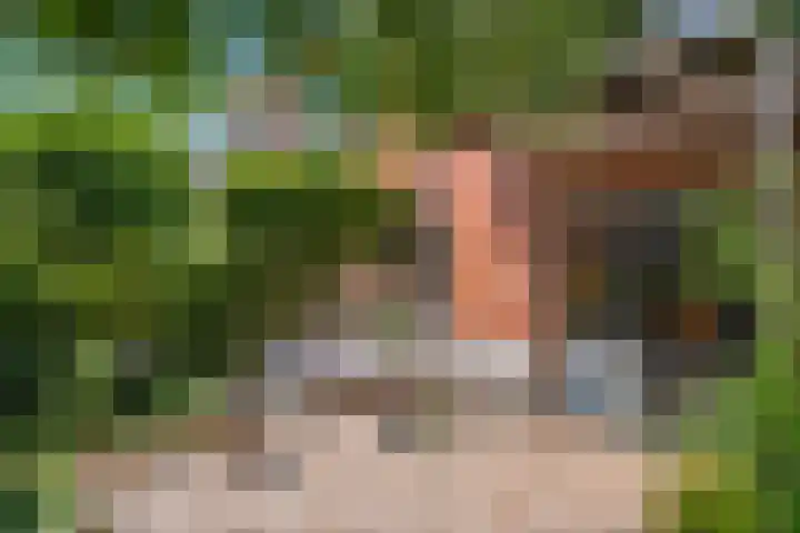 Van Brienenstraat 7 2 Bennekom thumbnail 7