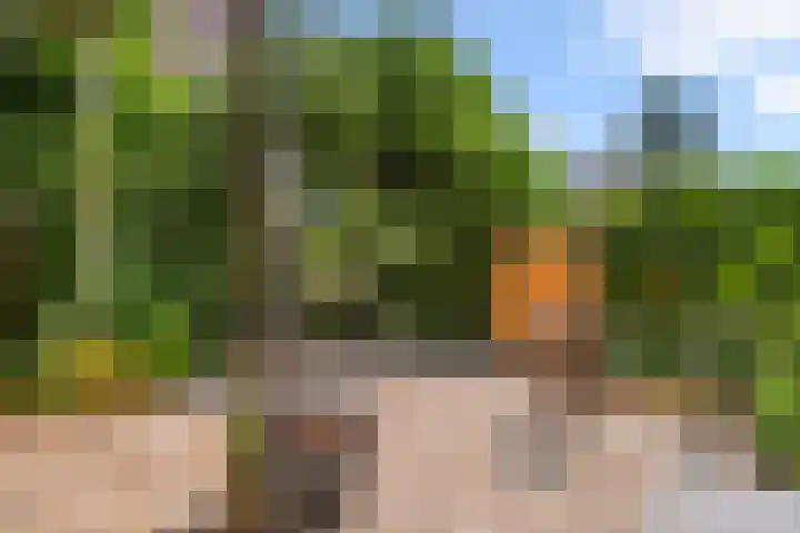 Van Brienenstraat 7 2 Bennekom thumbnail 8